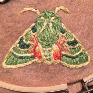 Pacific Green Sphinx Moth embroidery